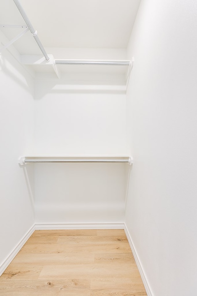 spacious closet featuring hardwood / wood-style flooring