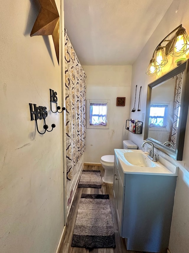 1501 Bishop St, Robert Lee, TX 76945 - bathroom featuring wood finished floors, toilet, and vanity