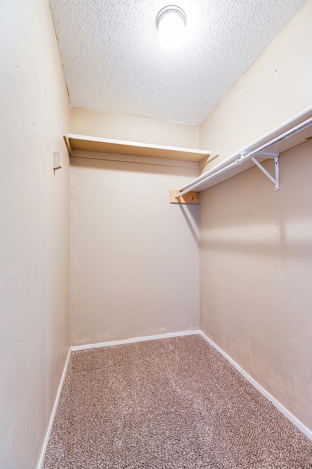 spacious closet featuring carpet floors