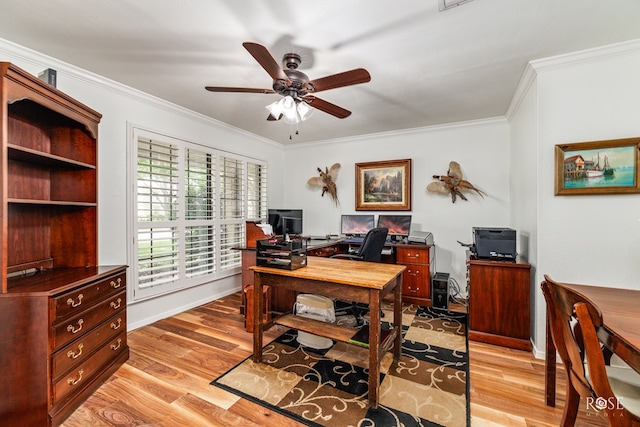 3110 Palo Duro Dr, San Angelo, TX 76904 - office with a ceiling fan, light wood-style flooring, and ornamental molding