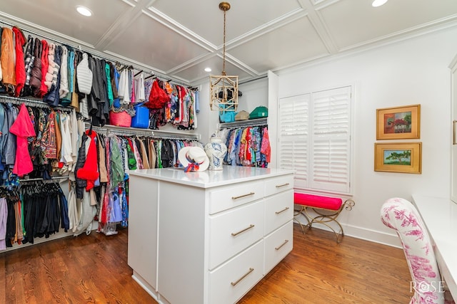 spacious closet with coffered ceiling and wood finished floors