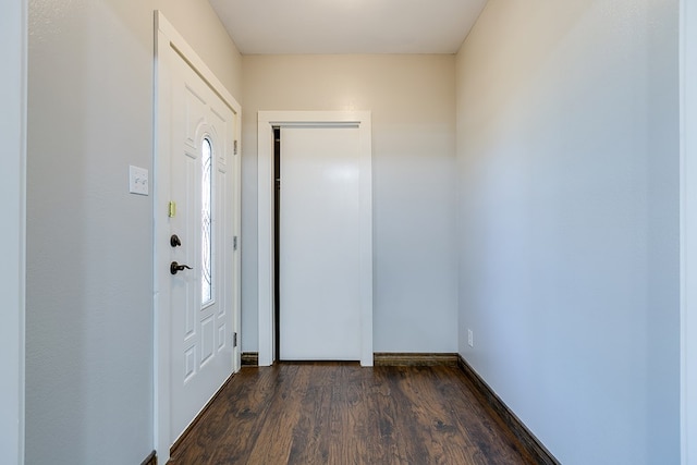 entrance foyer featuring dark wood-type flooring