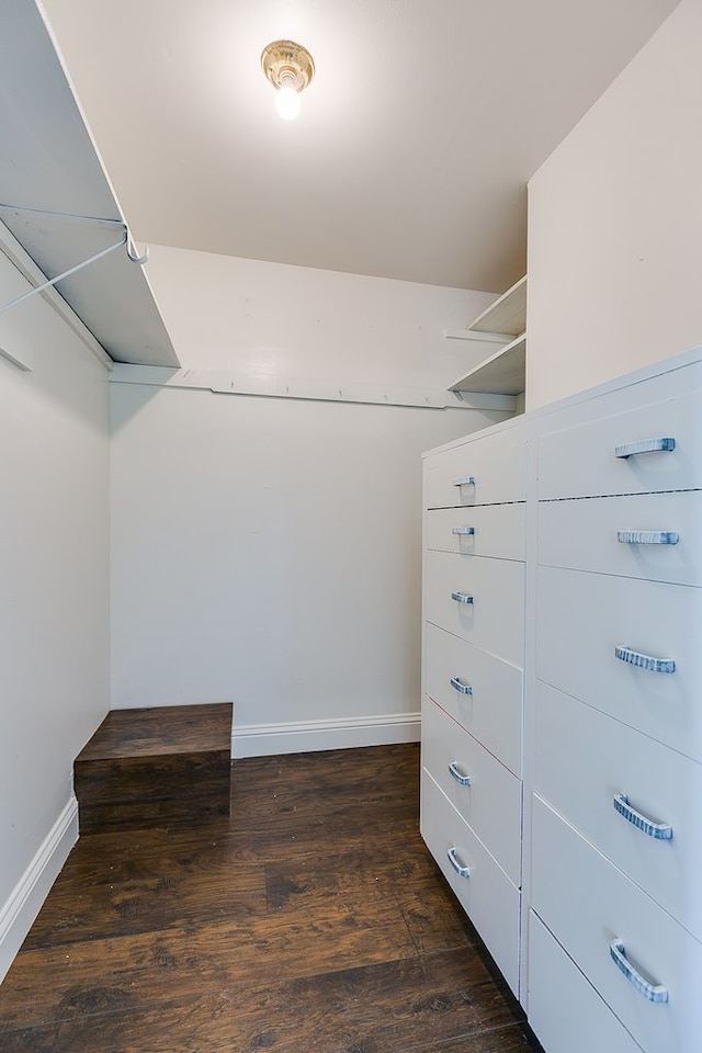 spacious closet with dark hardwood / wood-style flooring