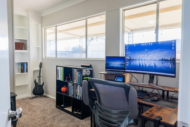 home office featuring crown molding and carpet flooring