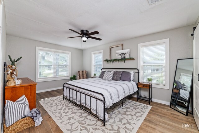 bedroom with multiple windows, wood-type flooring, and ceiling fan