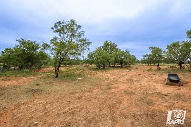 view of yard with a rural view