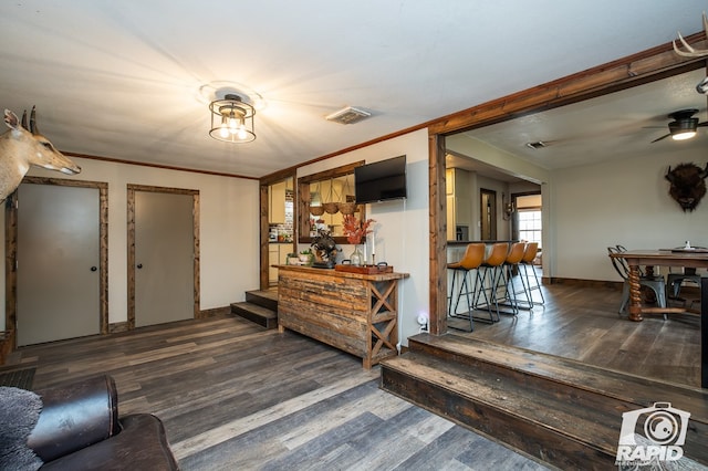 foyer entrance featuring ornamental molding, ceiling fan, and dark hardwood / wood-style flooring