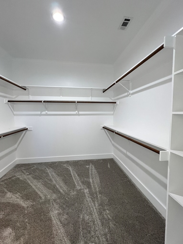 walk in closet with carpet