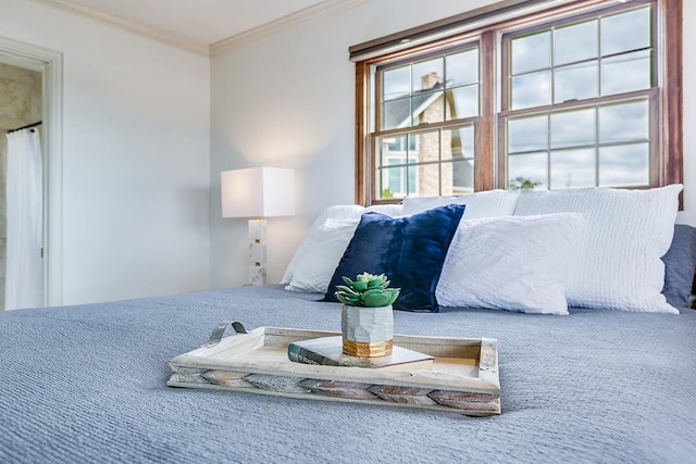 bedroom with ornamental molding