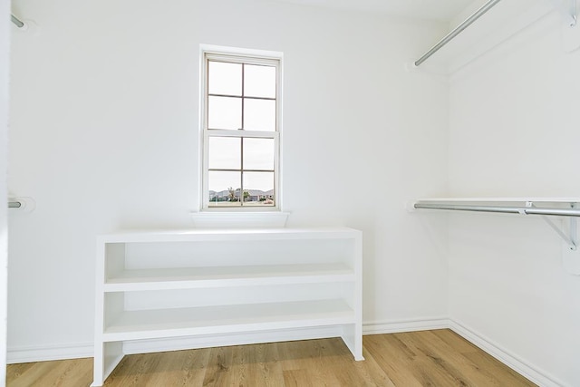 walk in closet featuring wood finished floors