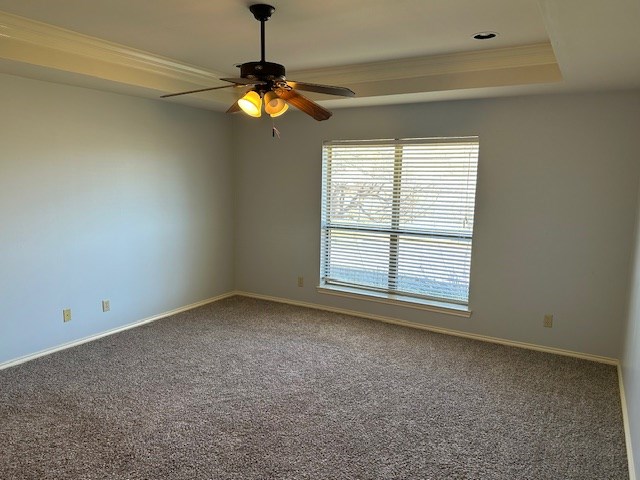 spare room with a raised ceiling, ceiling fan, and carpet