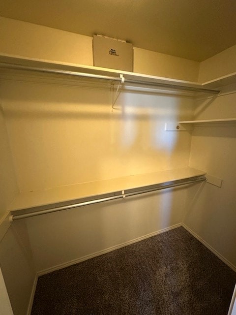 walk in closet featuring carpet