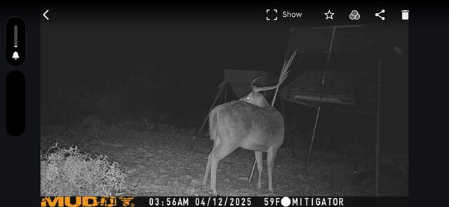 EOR Other, Eden, TX 76837 - photo 31