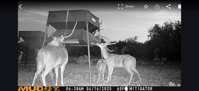 EOR Other, Eden, TX 76837 - photo 35