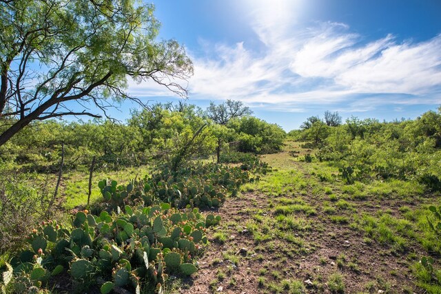 EOR Other, Eden, TX 76837 - photo 14