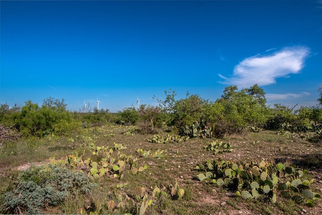 EOR Other, Eden, TX 76837 - photo 23
