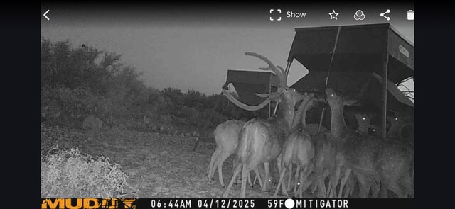 EOR Other, Eden, TX 76837 - photo 30