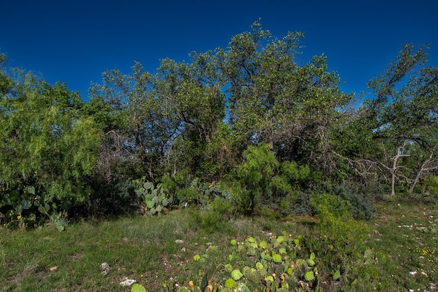 EOR Other, Eden, TX 76837 - photo 12