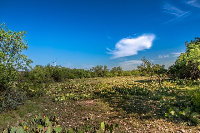 EOR Other, Eden, TX 76837 - photo 24