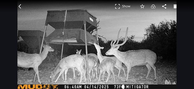 EOR Other, Eden, TX 76837 - photo 32