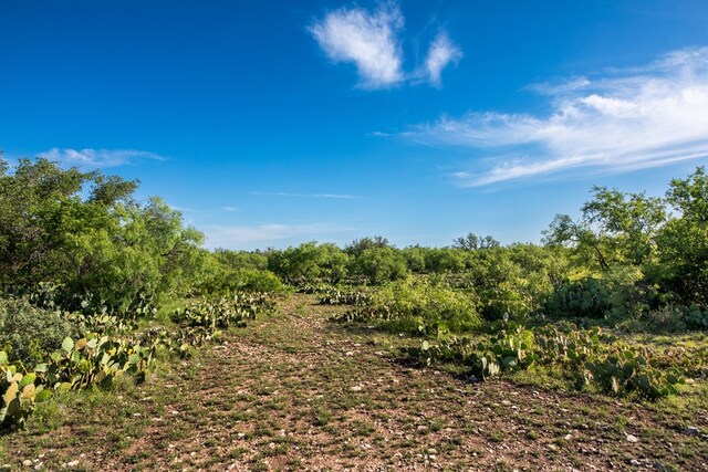 EOR Other, Eden, TX 76837 - photo 10