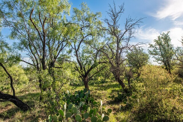EOR Other, Eden, TX 76837 - photo 19