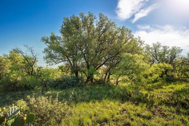 EOR Other, Eden, TX 76837 - photo 17