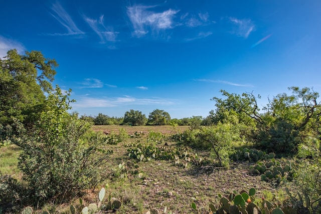 EOR Other, Eden, TX 76837 - photo 25
