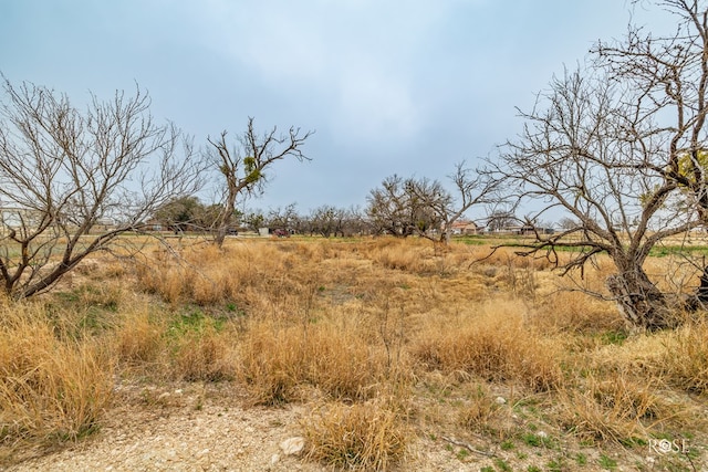 view of landscape featuring a rural view