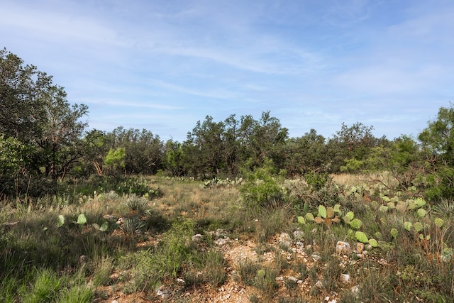 3270 County Rd 4131, Eden, TX 76837 - photo 11