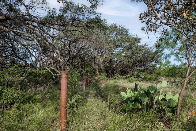 3270 County Rd 4131, Eden, TX 76837 - photo 27