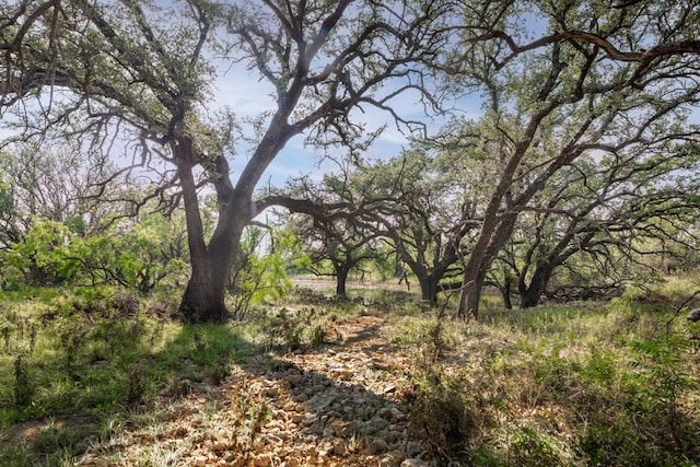 3270 County Rd 4131, Eden, TX 76837 - photo 34