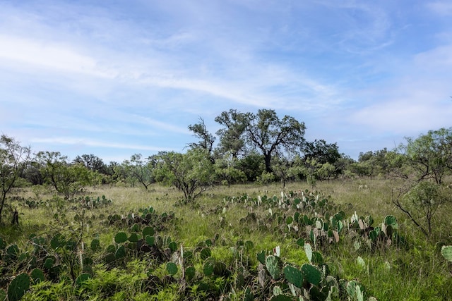 3270 County Rd 4131, Eden, TX 76837 - photo 17