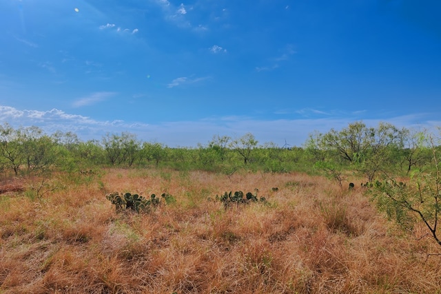 3270 County Rd 4131, Eden, TX 76837 - photo 37