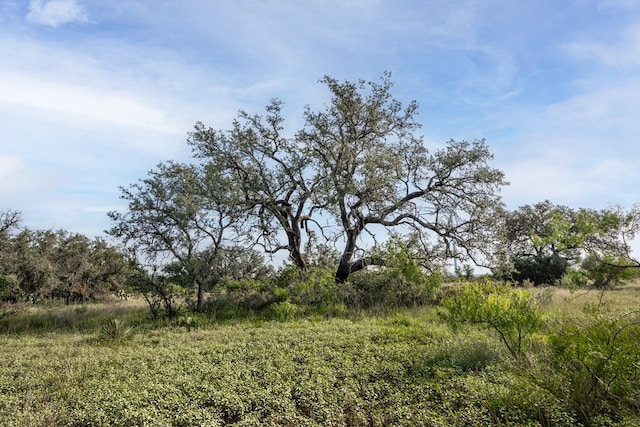 3270 County Rd 4131, Eden, TX 76837 - photo 24