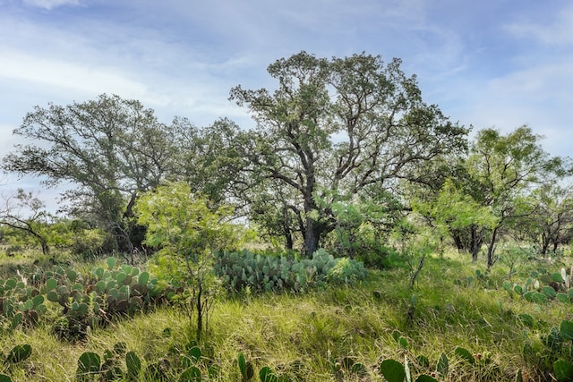 3270 County Rd 4131, Eden, TX 76837 - photo 9