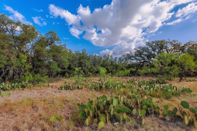 3270 County Rd 4131, Eden, TX 76837 - photo 42