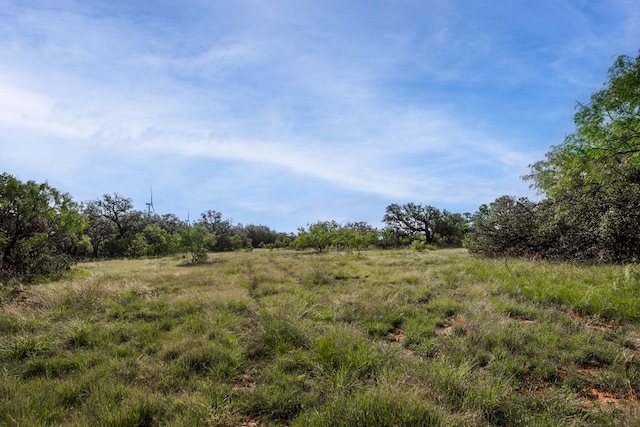 3270 County Rd 4131, Eden, TX 76837 - photo 14