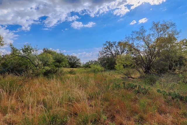 3270 County Rd 4131, Eden, TX 76837 - photo 38