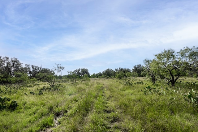 3270 County Rd 4131, Eden, TX 76837 - photo 19