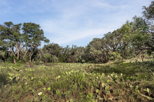 3270 County Rd 4131, Eden, TX 76837 - photo 7