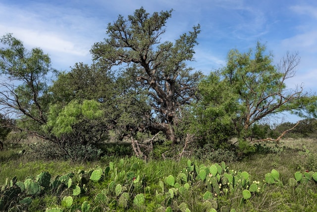3270 County Rd 4131, Eden, TX 76837 - photo 18