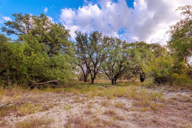 3270 County Rd 4131, Eden, TX 76837 - photo 46