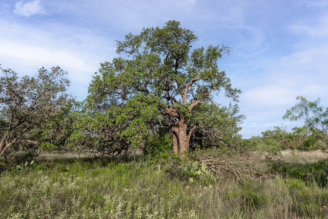 3270 County Rd 4131, Eden, TX 76837 - photo 23