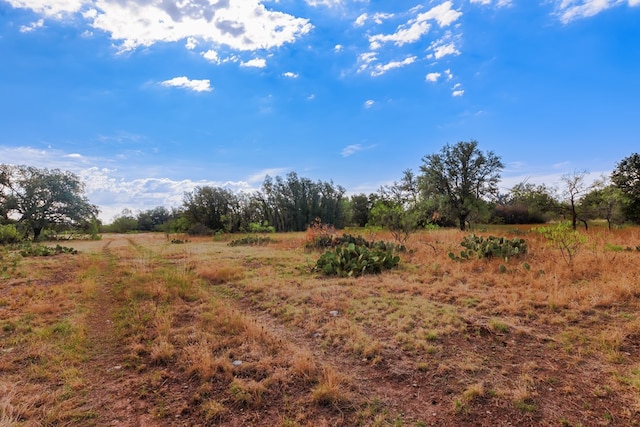 3270 County Rd 4131, Eden, TX 76837 - photo 41