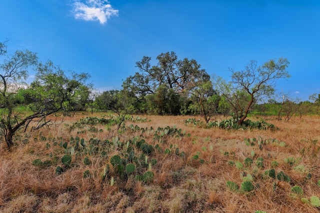 3270 County Rd 4131, Eden, TX 76837 - photo 40