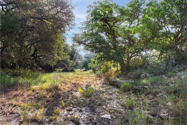 3270 County Rd 4131, Eden, TX 76837 - photo 8