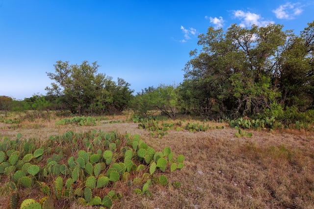 3270 County Rd 4131, Eden, TX 76837 - photo 43