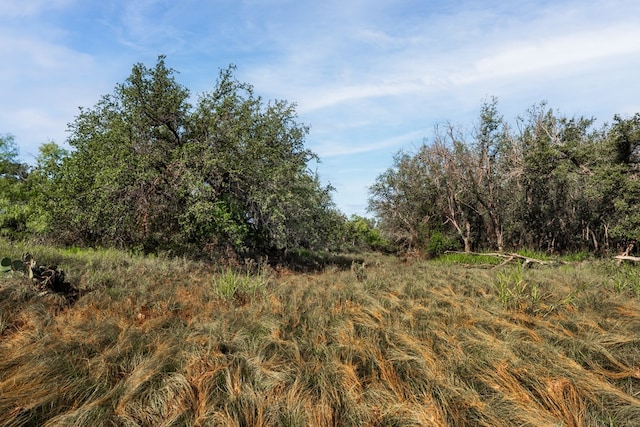 3270 County Rd 4131, Eden, TX 76837 - photo 6
