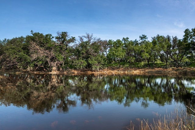 3270 County Rd 4131, Eden, TX 76837 - photo 4